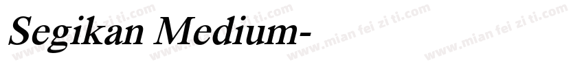 Segikan Medium字体转换